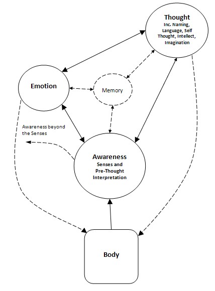 Consciousness Model